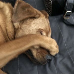 Meet your Posher, Jessica